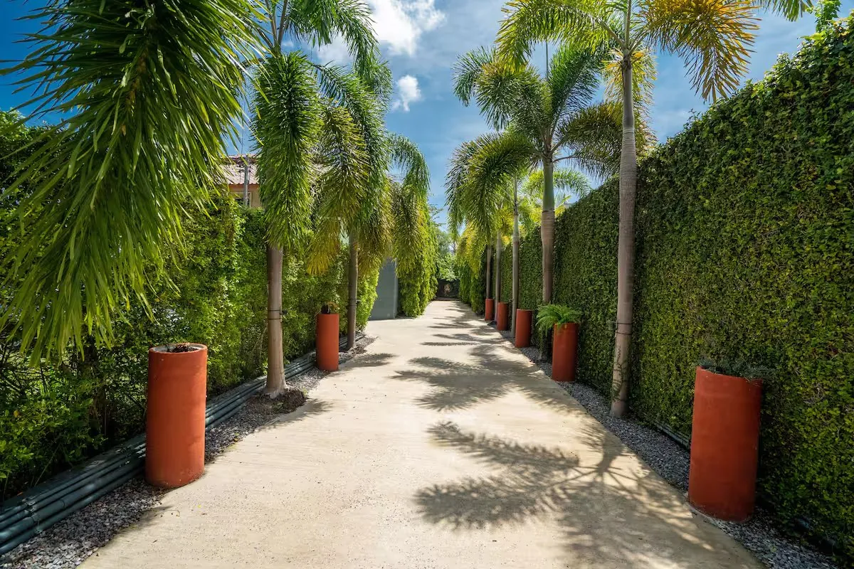 Mayacol Luxury Villa, Най Харн — подъездная аллея с пальмами