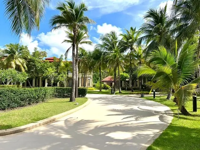 Аллея с пальмами на территории посёлка — Laguna Village, Банг Тао