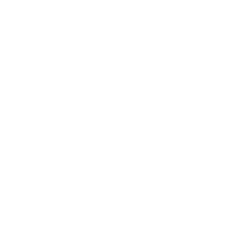 pentest king white logo
