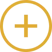 maximize icon