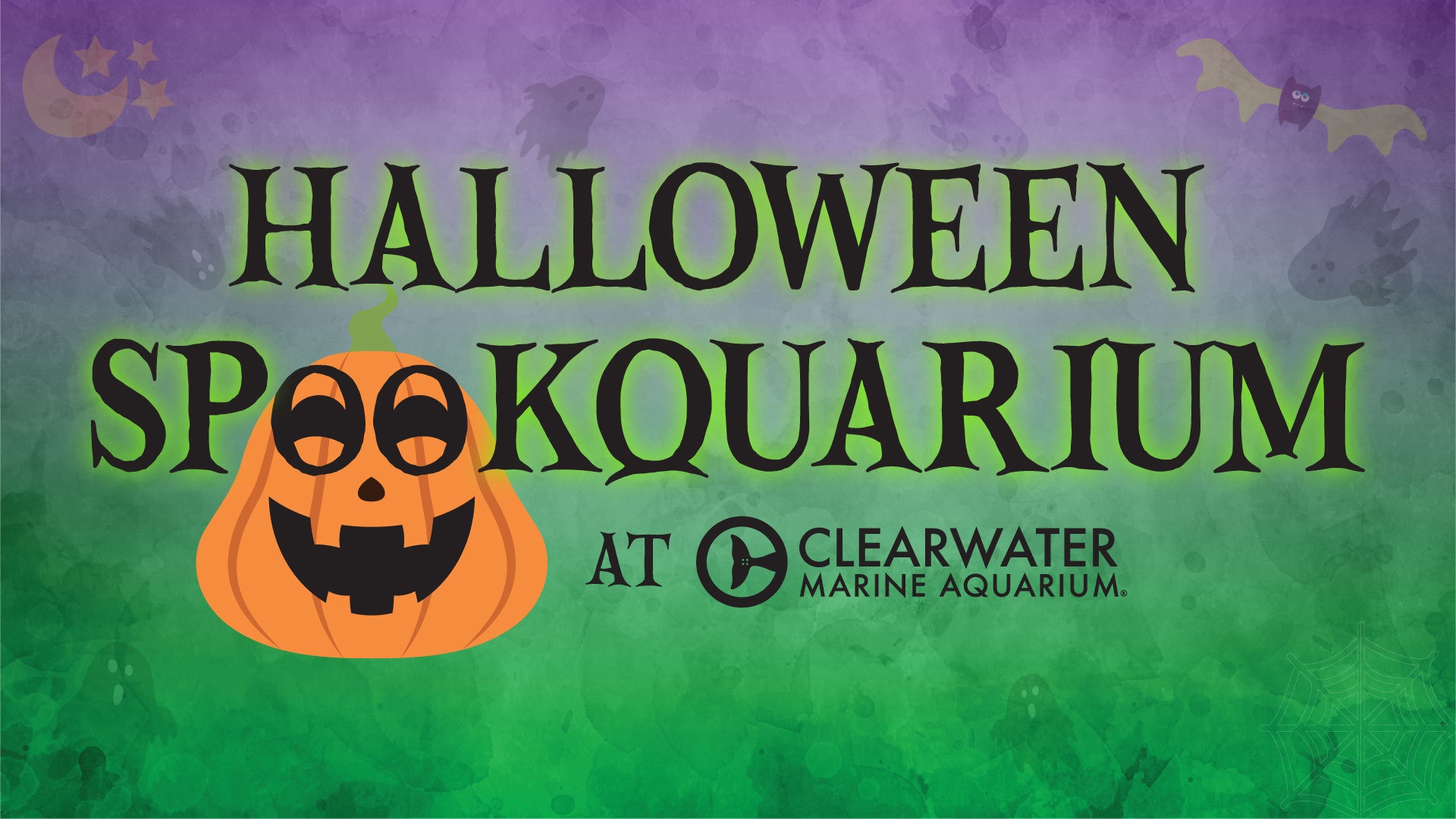 Halloween Spookquarium at Clearwater Marine Aquarium