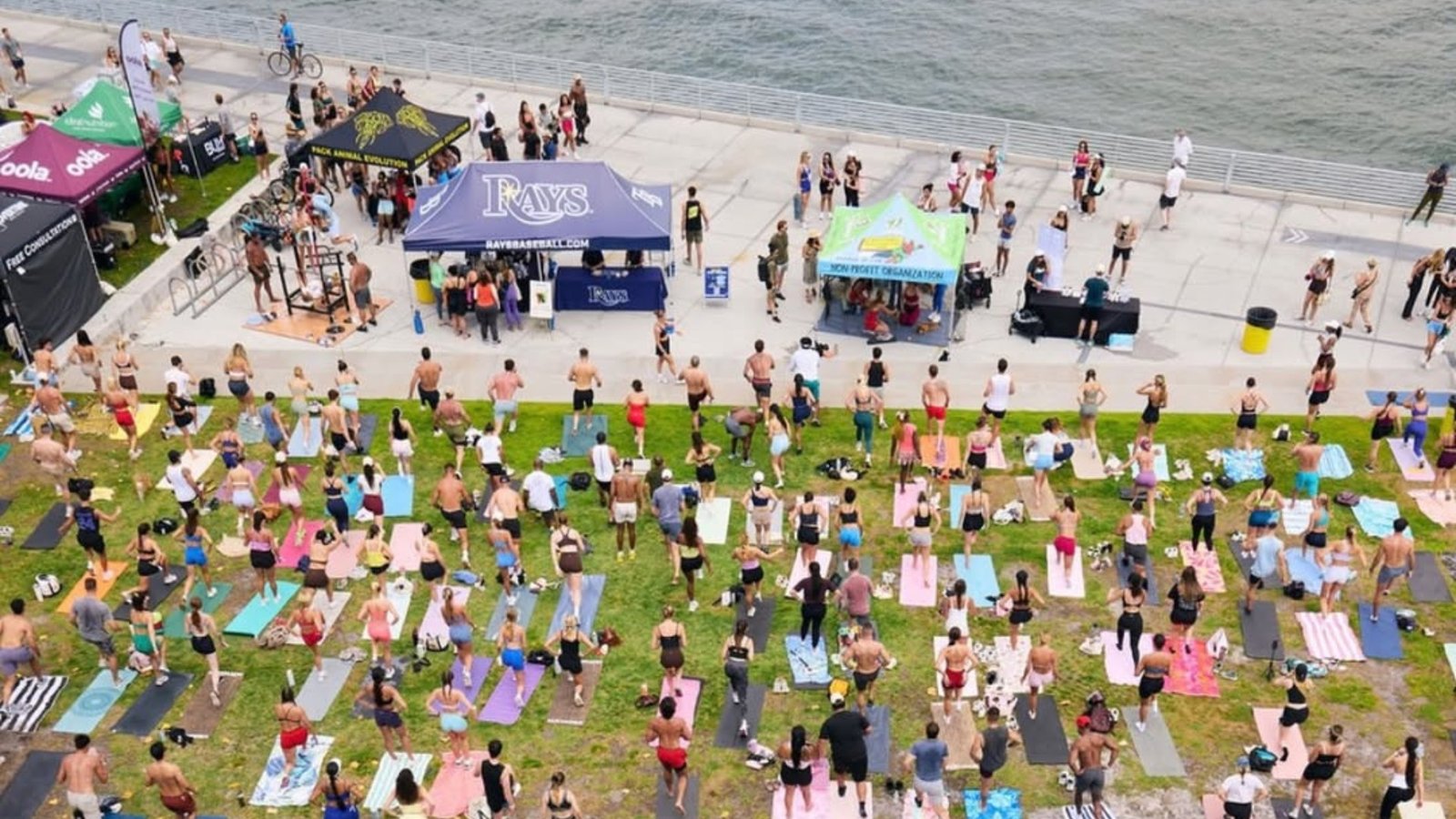The Club Wellness Festival