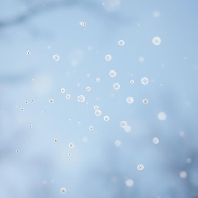 Pollen floating in the air during spring allergy season.