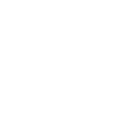Black and white stylized globe icon showing longitude and latitude lines.