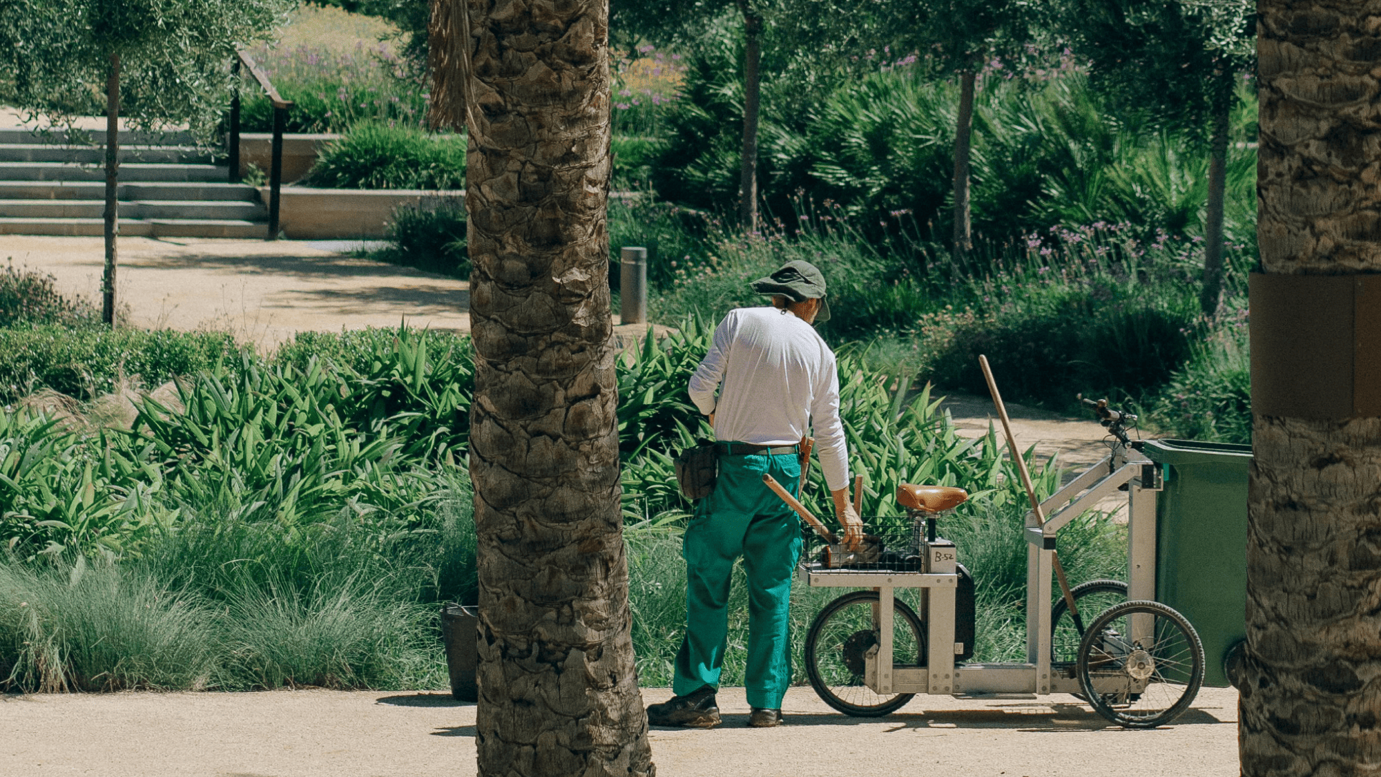 Landscaping & Outdoor Maintenance