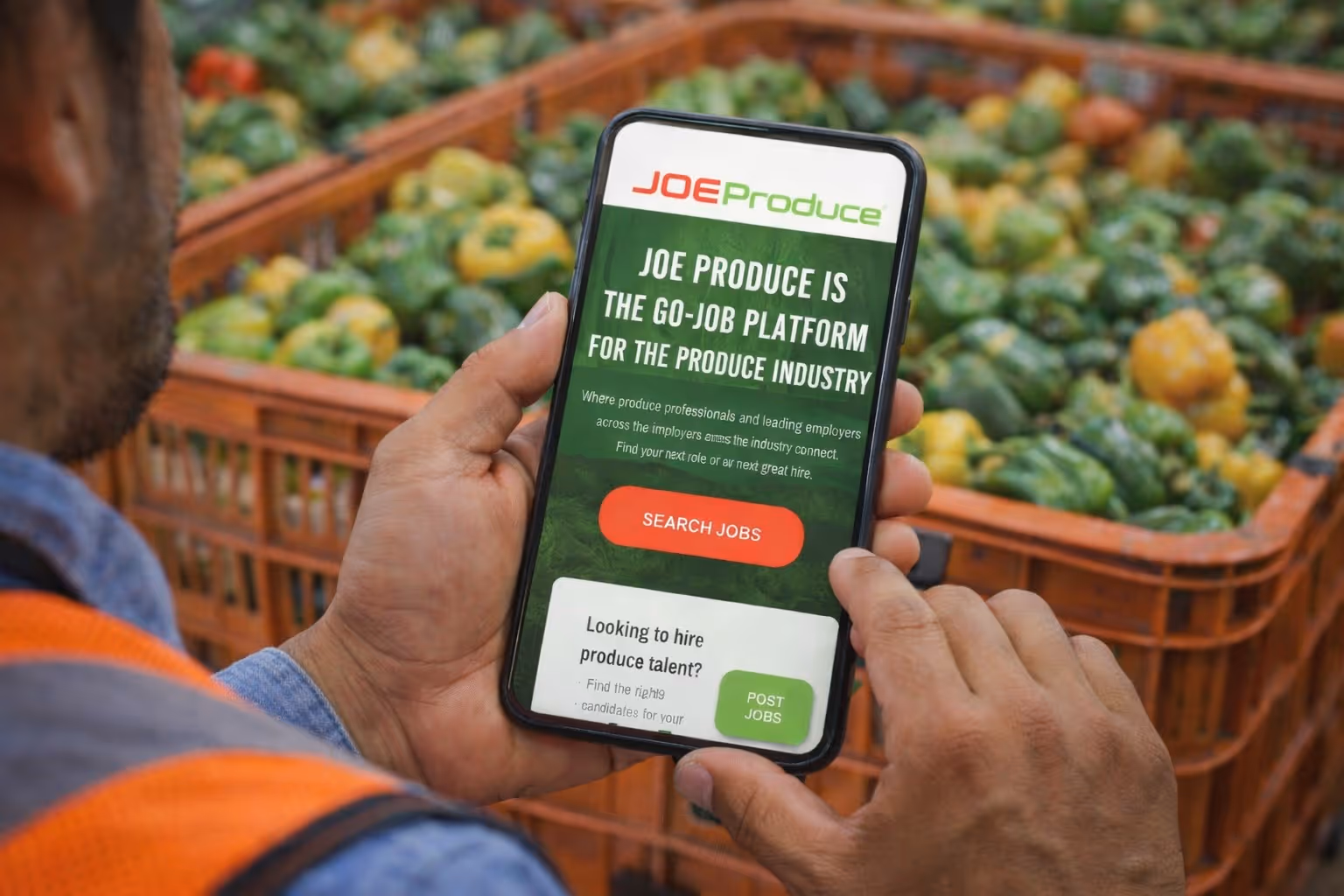 Produce professionals in the field