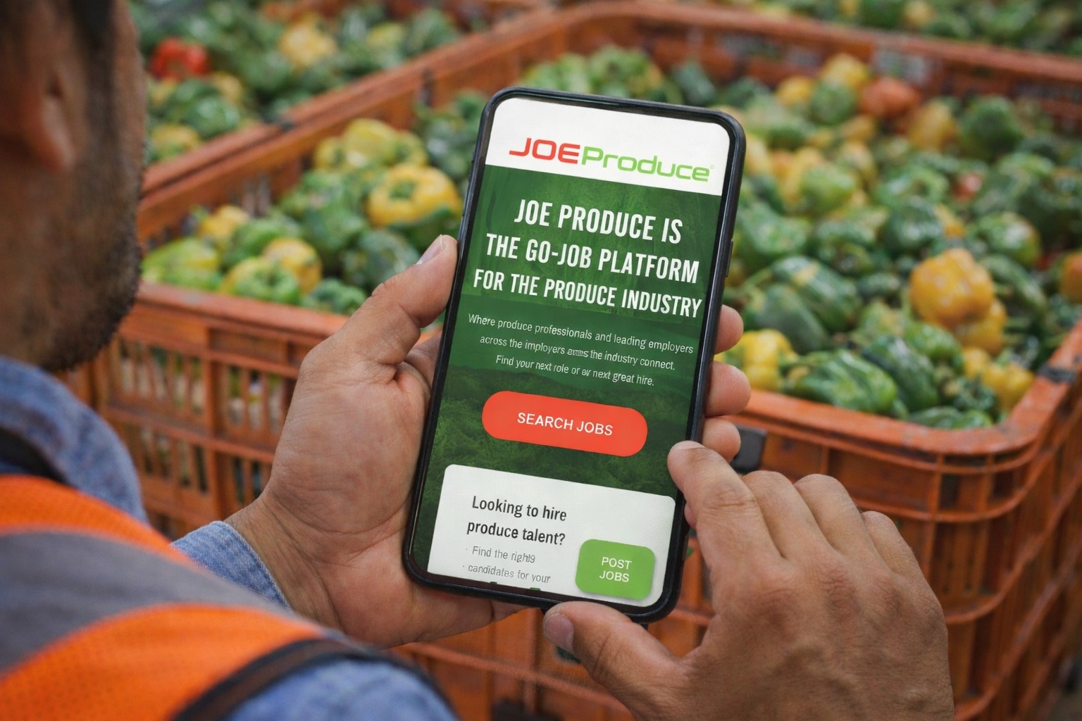 Produce professionals in the field