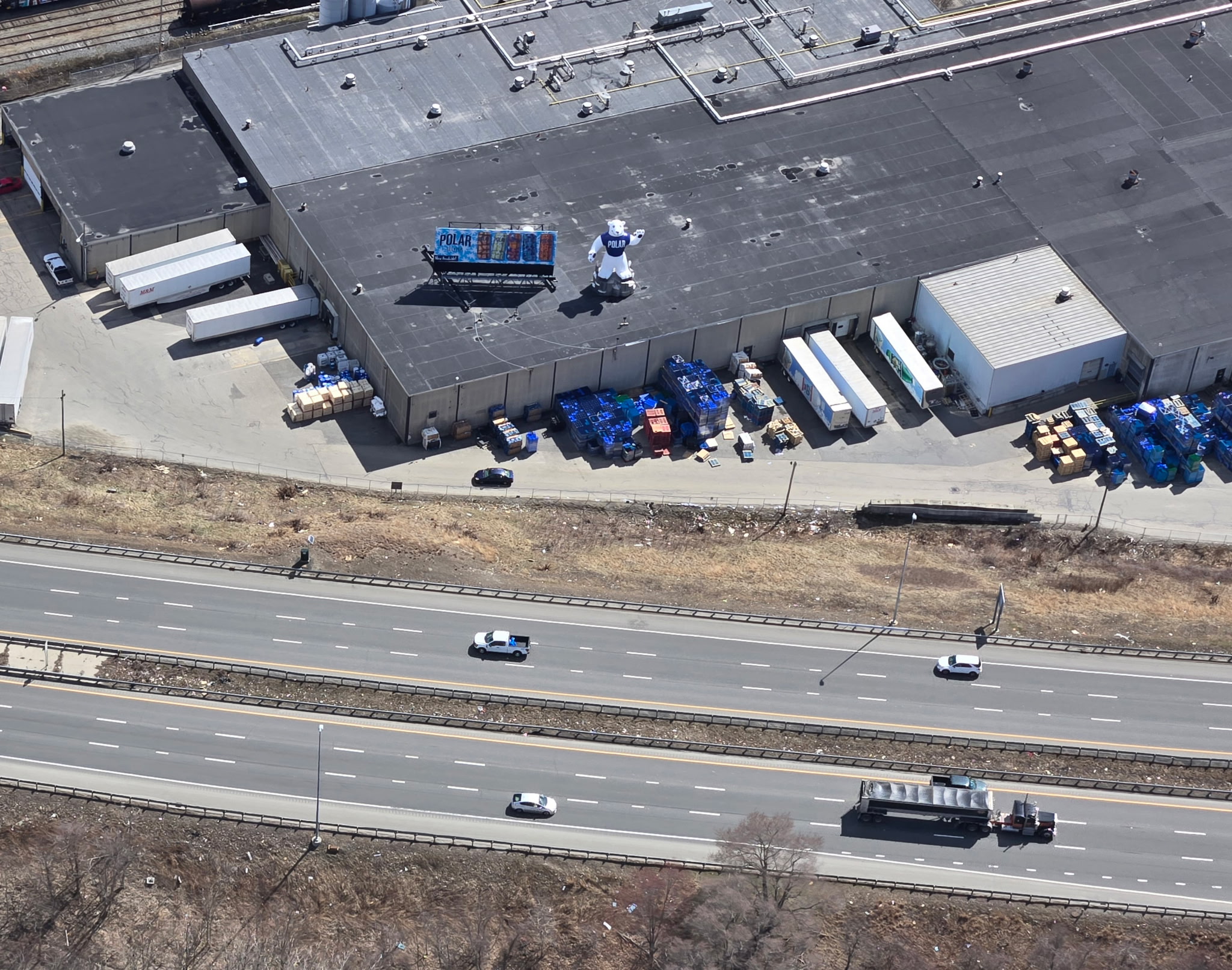 Member Submitted Photo