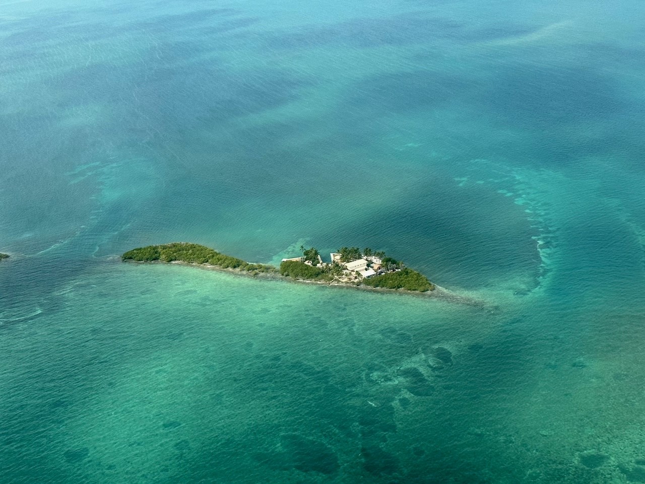 User Submitted photo with caption Legacy Website photo. Unattributed. Please contact Secretary if you want attribution.