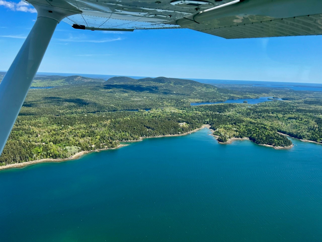 User Submitted photo with caption Legacy Website photo. Unattributed. Please contact Secretary if you want attribution.