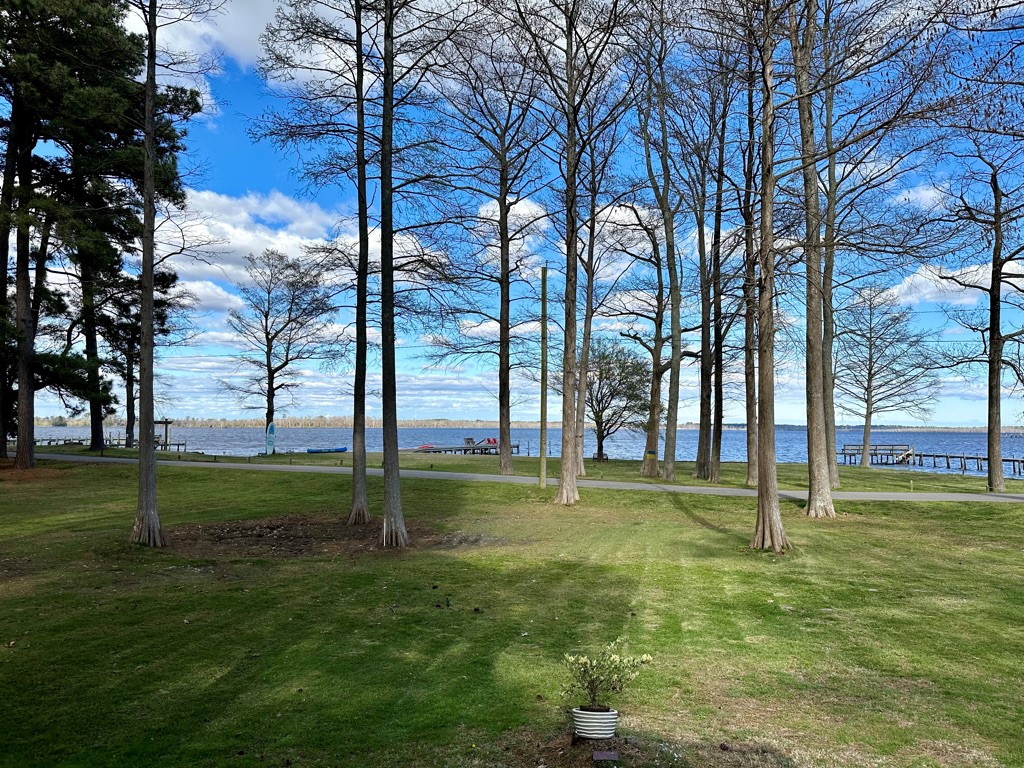 User Submitted photo with caption Legacy Website photo. Unattributed. Please contact Secretary if you want attribution.