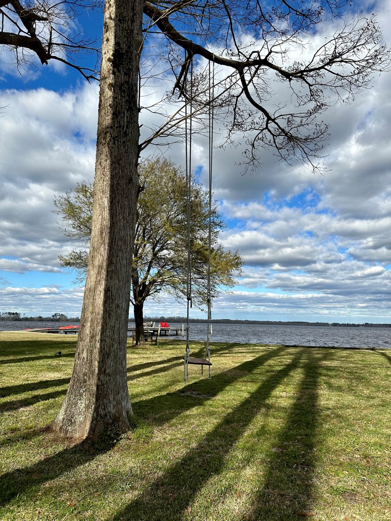 User Submitted photo with caption Legacy Website photo. Unattributed. Please contact Secretary if you want attribution.