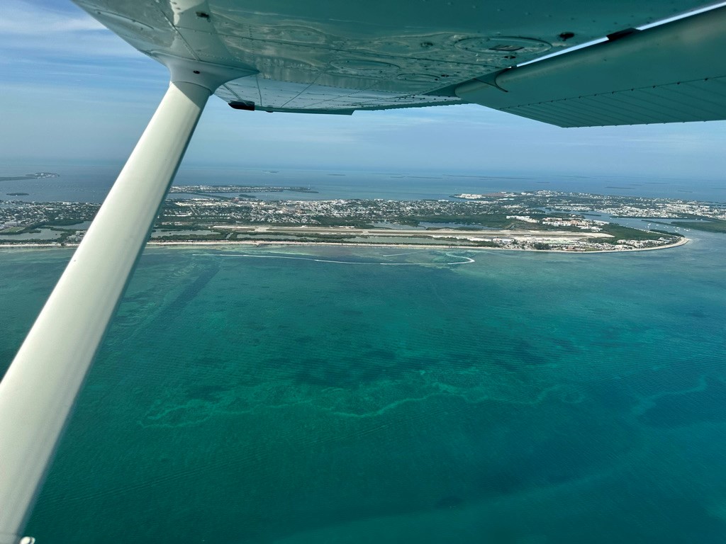 User Submitted photo with caption Legacy Website photo. Unattributed. Please contact Secretary if you want attribution.