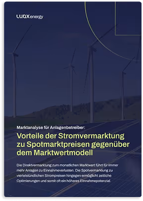 Vorteile der Stromvermarktung