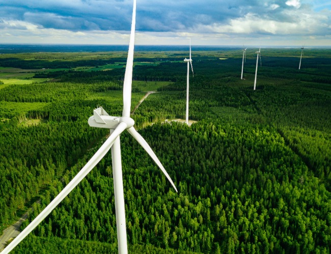 Windturbinen in einem Windpark mit Wald