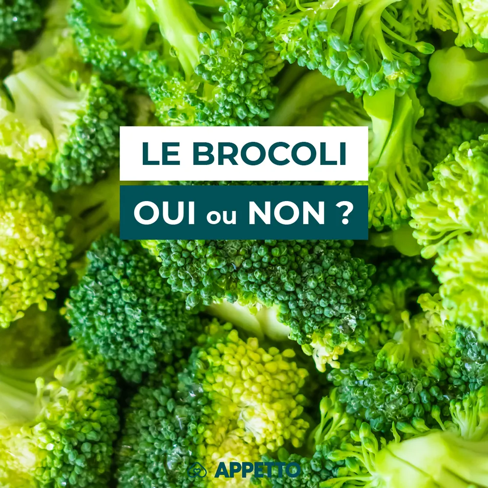 Gros plan sur des brocolis avec un bandeau texte : "Le brocoli, oui ou non ?" visuel Appetto pour chiens
