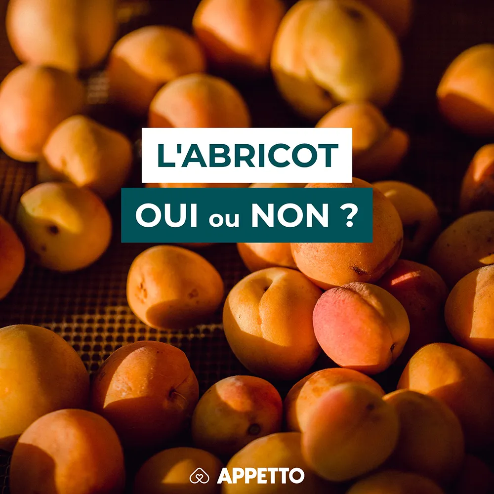 Gros plan sur des abricots avec un bandeau texte : "L'abricot, oui ou non ?" visuel Appetto pour chiens