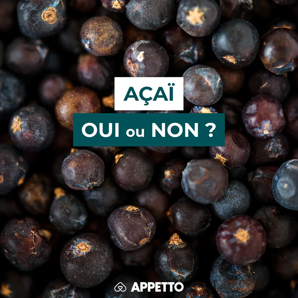 Gros plan sur des baies d'açaï avec un bandeau texte : "L'açaï, oui ou non ?" visuel Appetto pour chiens