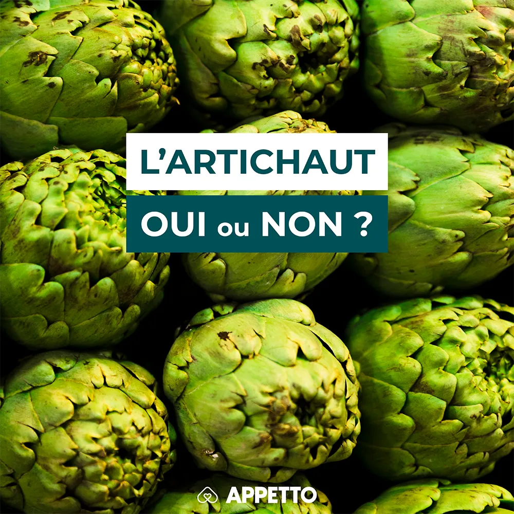 Gros plan sur des artichauts avec un bandeau texte : "L'artichaut, oui ou non ?" visuel Appetto pour chiens