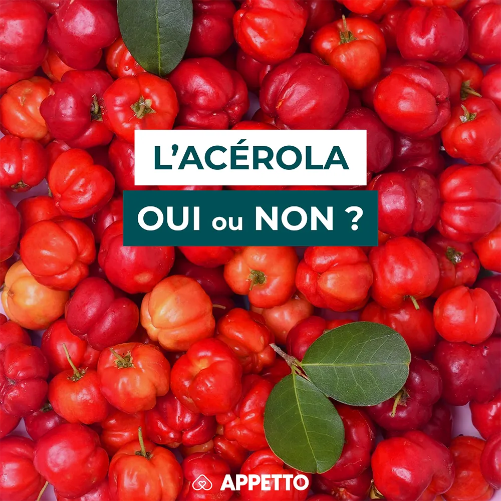 Gros plan sur des acérolas avec un bandeau texte : "L'acérola, oui ou non ?" visuel Appetto pour chiens