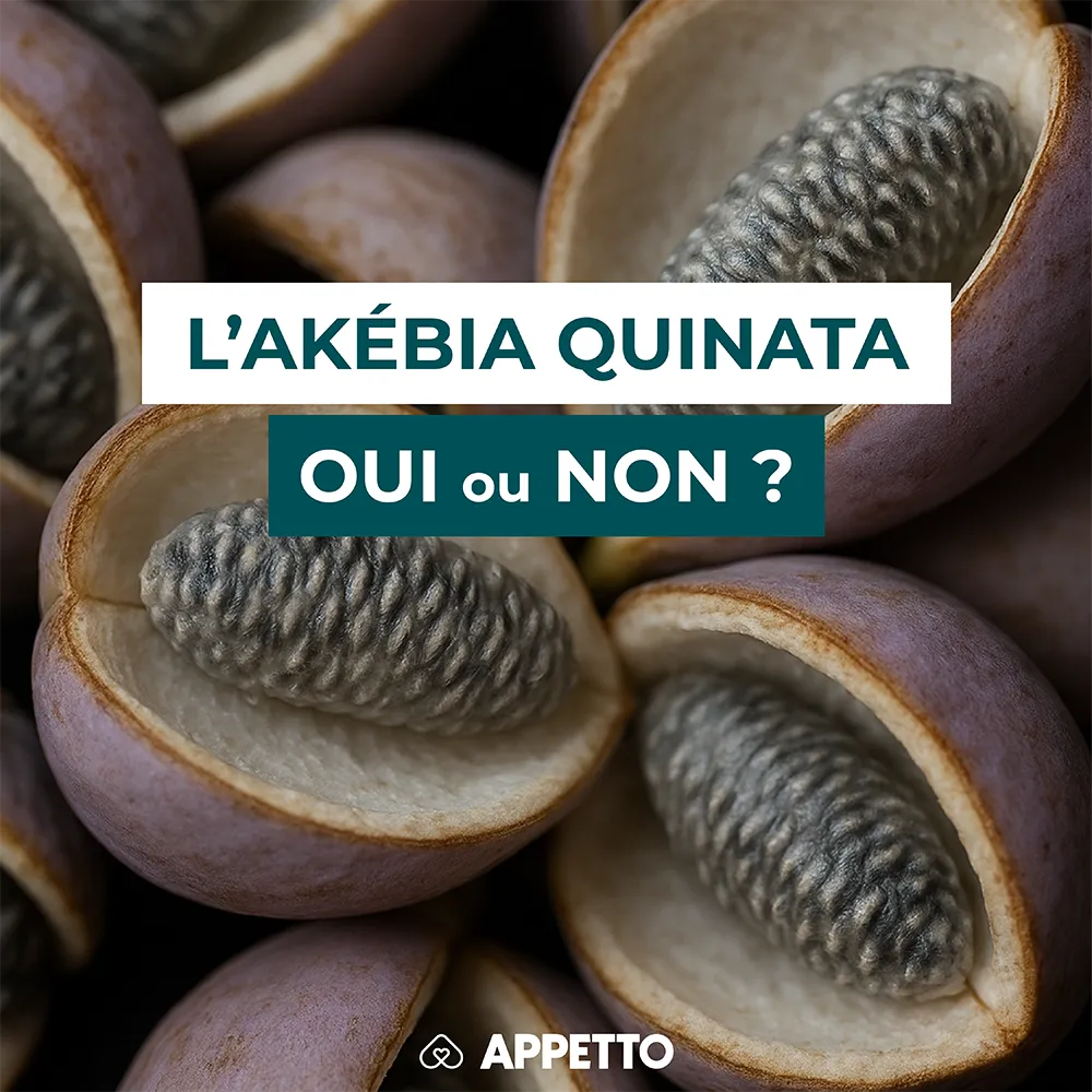 Chien : akébia quinata, comestible ? Fruits violets ouverts, pulpe claire et graines noires ; analyse APPETTO des risques, parties à éviter, portion.