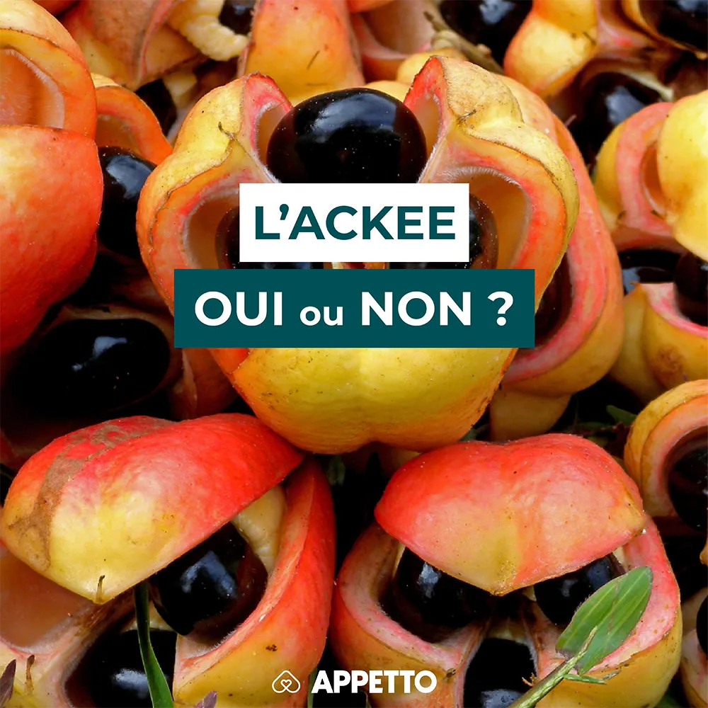 Chien : l’ackee est-il toxique ? Fruits ouverts rouge-jaune avec grosses graines noires ; avertissements APPETTO, parties comestibles et dangers.