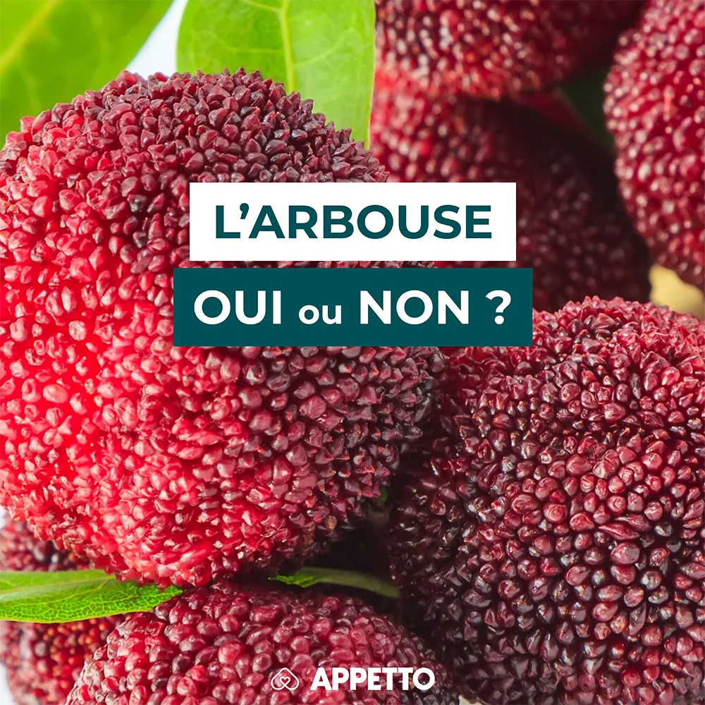 Chien : peut-il manger l’arbouse ? Gros plan de fruits rouges bosselés avec feuilles vertes ; conseils APPETTO sur bénéfices, risques et portions.