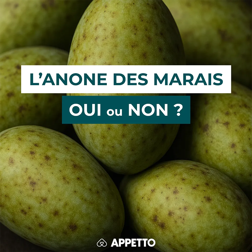 Chien : anone des marais, comestible ? Fruits verts tachetés ; analyse APPETTO sur sécurité, graines à éviter, toxicité et portions.