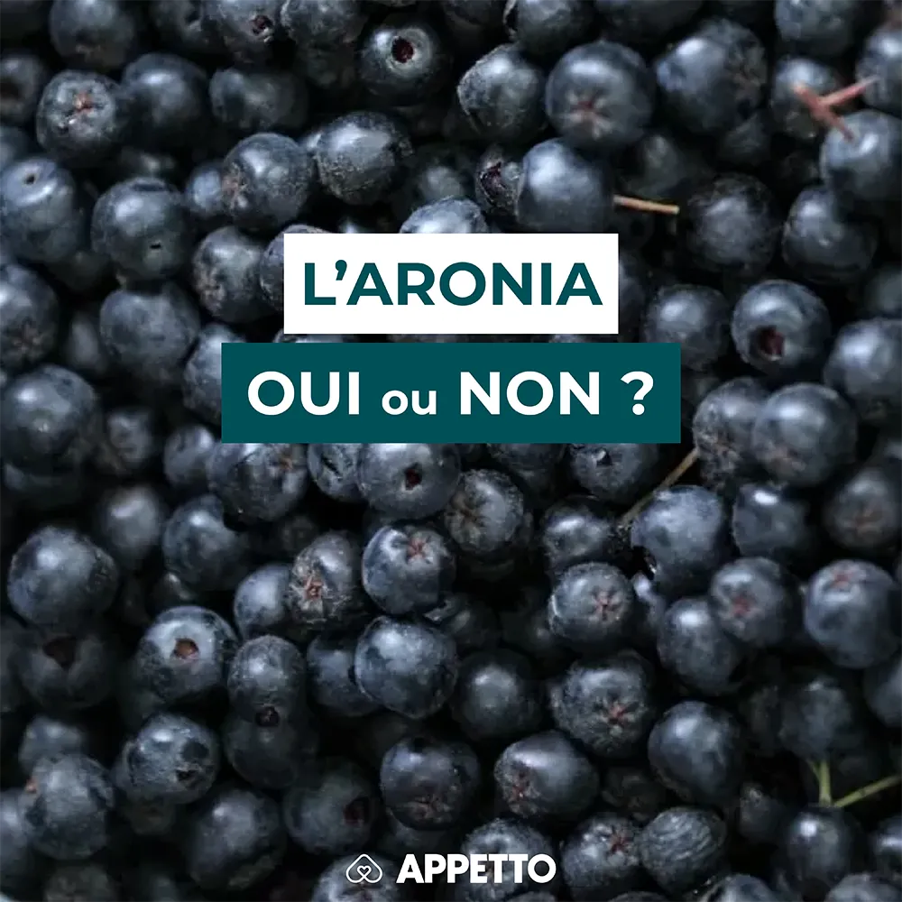 Chien : aronia (baies chokeberry), oui ou non ? Gros plan de baies noires bleutées ; guide APPETTO sur antioxydants, tanins/astringence, sécurité et portion adaptée.