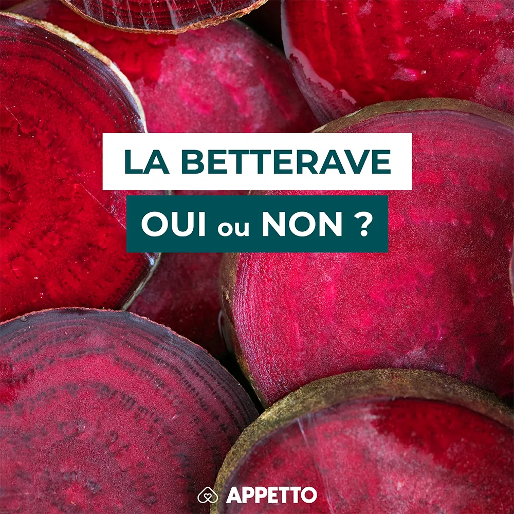Chien : betterave, oui ou non ? Rondelles rouge vif ; guide APPETTO sur sucre, oxalates, précautions digestives, cuisson et portion.