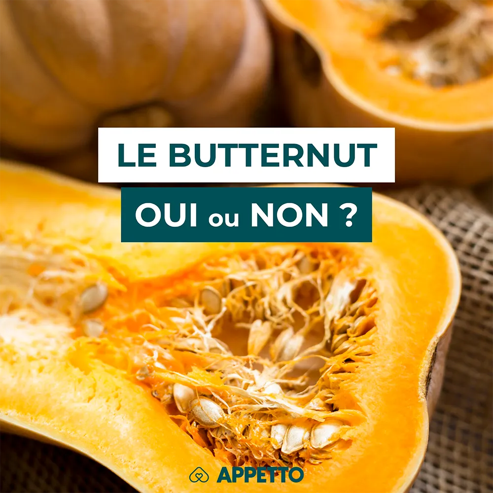 Chien : courge butternut, oui ou non ? Demi-courge orange avec pépins ; conseils APPETTO sur cuisson, fibres, graines, peau et quantité adaptée.
