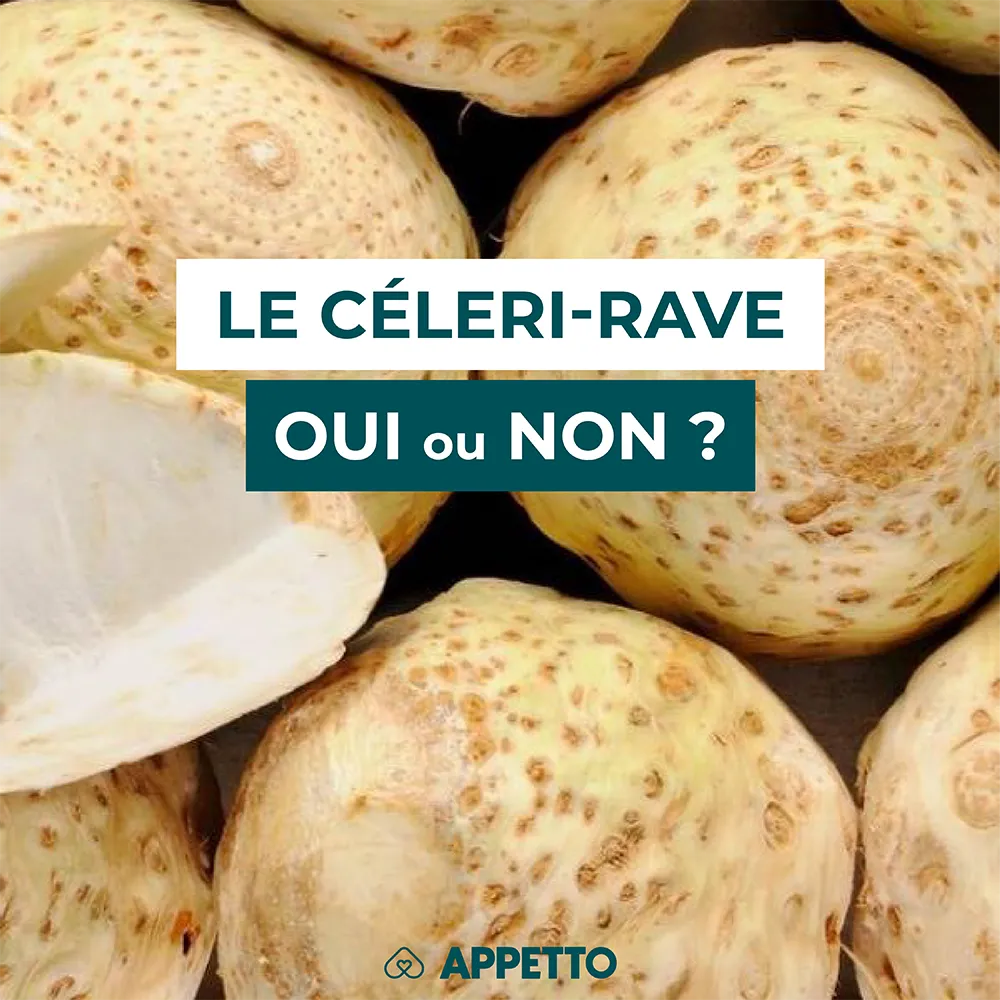Chien : céleri-rave, oui ou non ? Bulbes beige en coupe ; analyse APPETTO sur fibres, FODMAPs, cuisson, allergies possibles et portions adaptées.