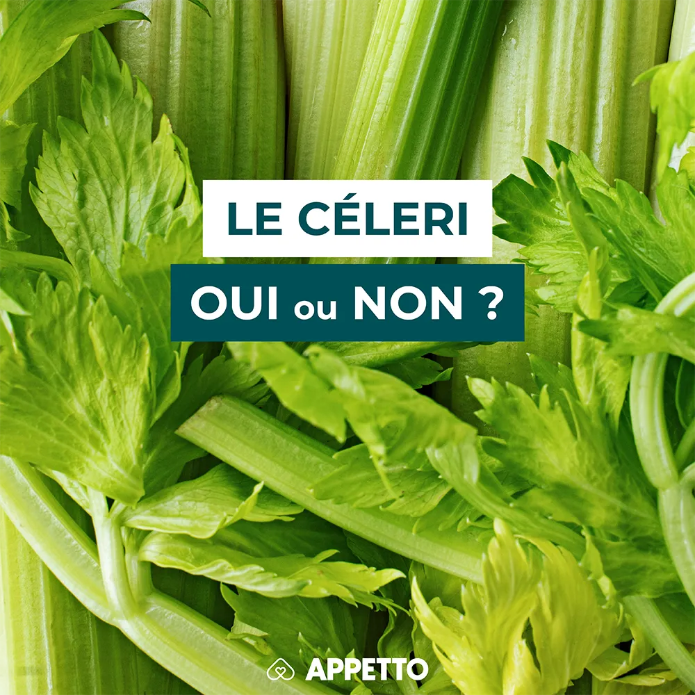 Chien : céleri branche, oui ou non ? Feuilles et tiges vertes ; guide APPETTO sur fibres, sodium, filaments, préparation (cuit/croquant) et quantités.