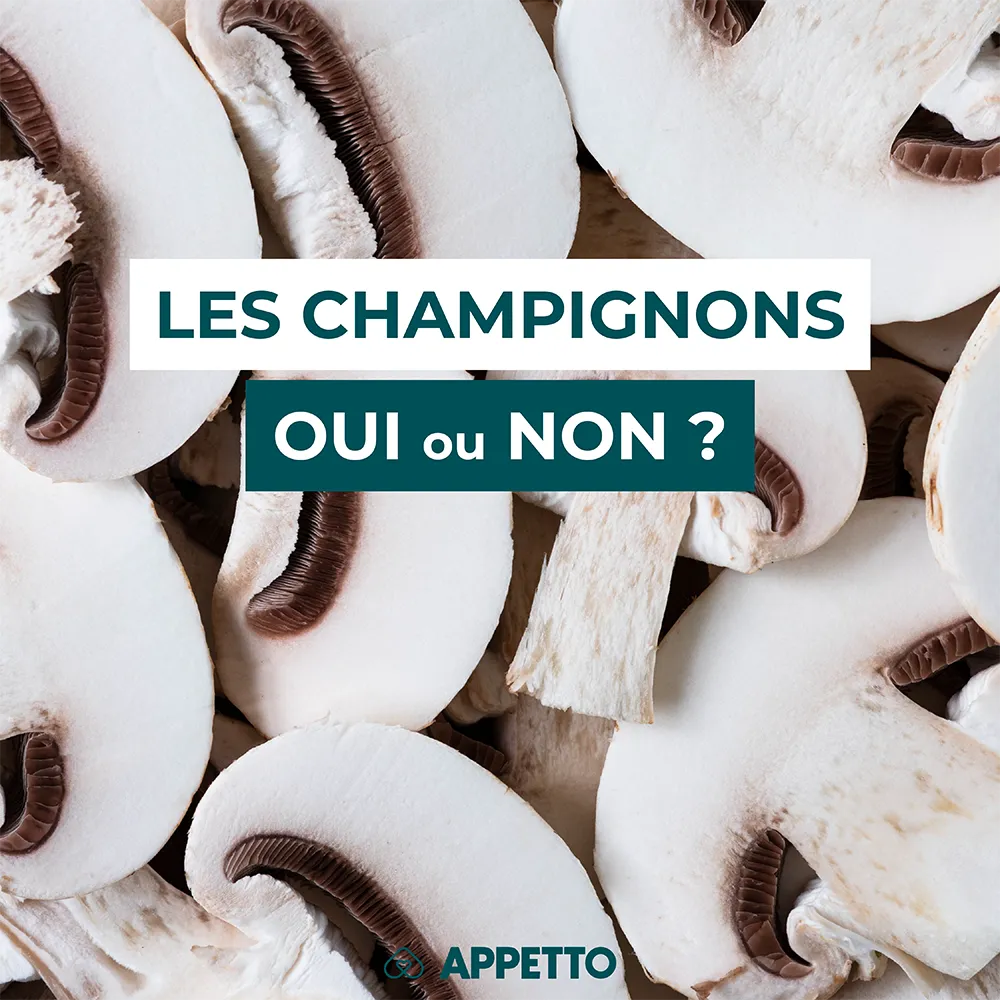 Chien : champignons, oui ou non ? Tranches de champignon de Paris ; infos APPETTO sur variétés sûres/dangereuses, cuisson, digestibilité et portion.