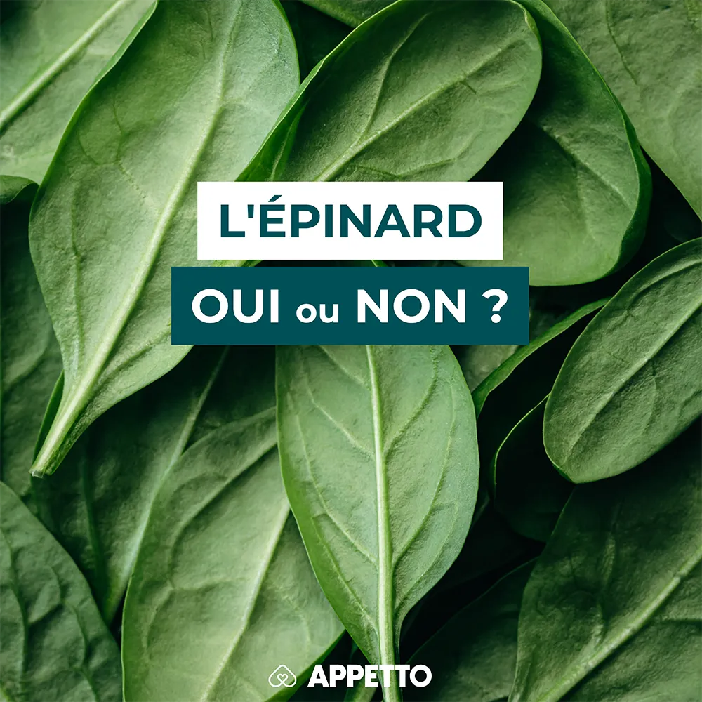 Chien : épinard, oui ou non ? Feuilles vert foncé en gros plan ; recommandations APPETTO sur oxalates, tolérance digestive, cuisson, portion sûre et cas sensibles (chiot, reins fragiles).