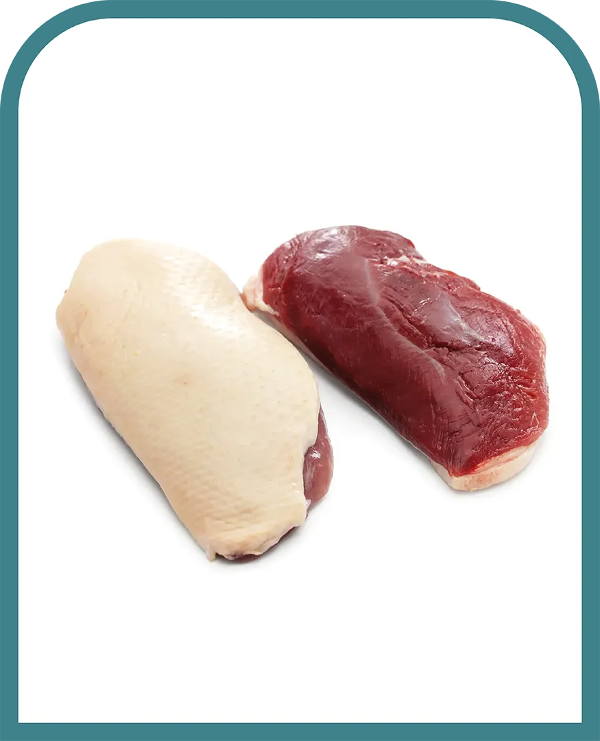 Deux magrets de canard crus, un avec peau et un sans peau, présentés sur fond blanc.