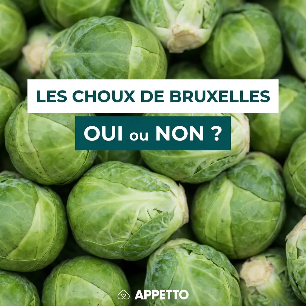 Visuel APPETTO « Les choux de Bruxelles oui ou non ? » pour chien, autorisés seulement en très petite quantité et plutôt cuits, gros risque de gaz et ballonnements, vomissements ou diarrhée possibles si excès, à donner rarement, déconseillé chez chiens sen