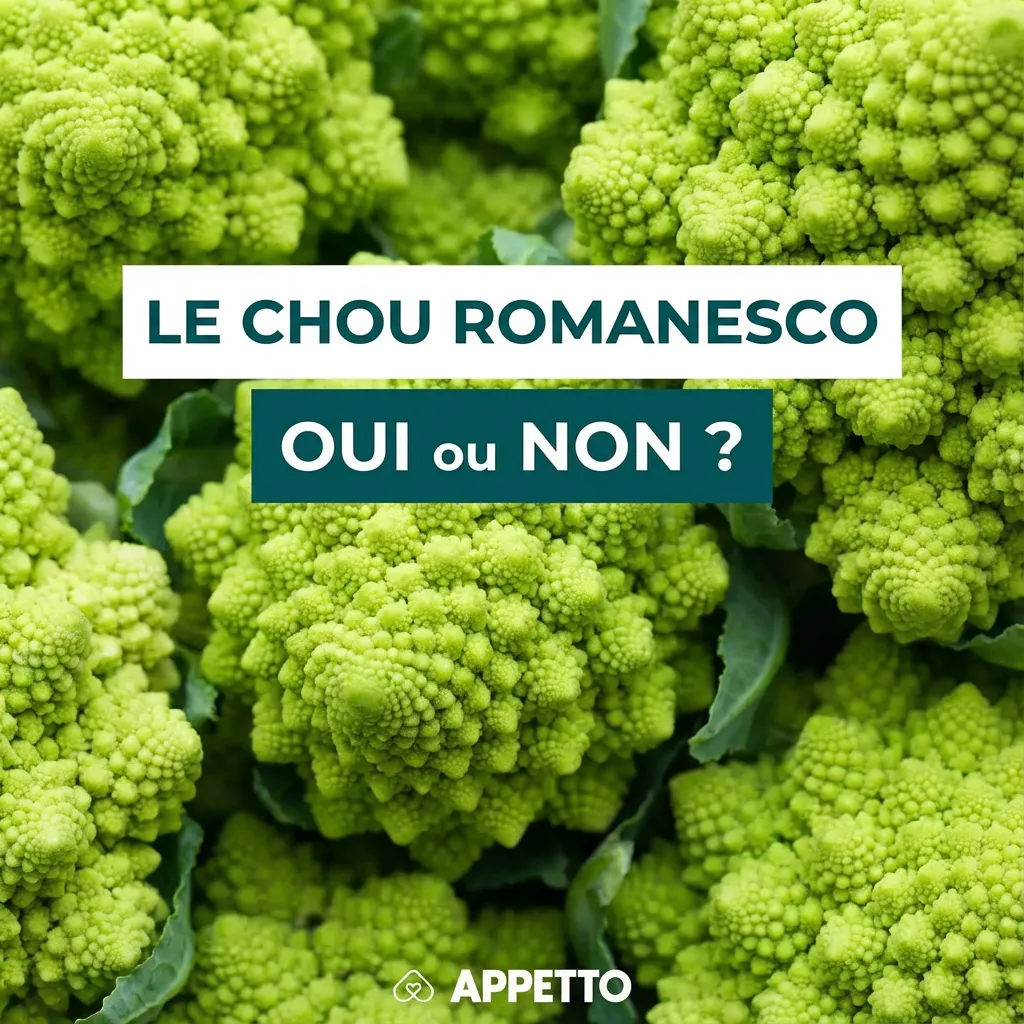 Visuel APPETTO « Le chou romanesco oui ou non ? » pour chien, semblable au chou fleur, OK en mini portion et plutôt cuit nature, bien émietté, attention gaz, ballonnements, diarrhée possible, fréquence rare, éviter si le chien réagit aux crucifères.