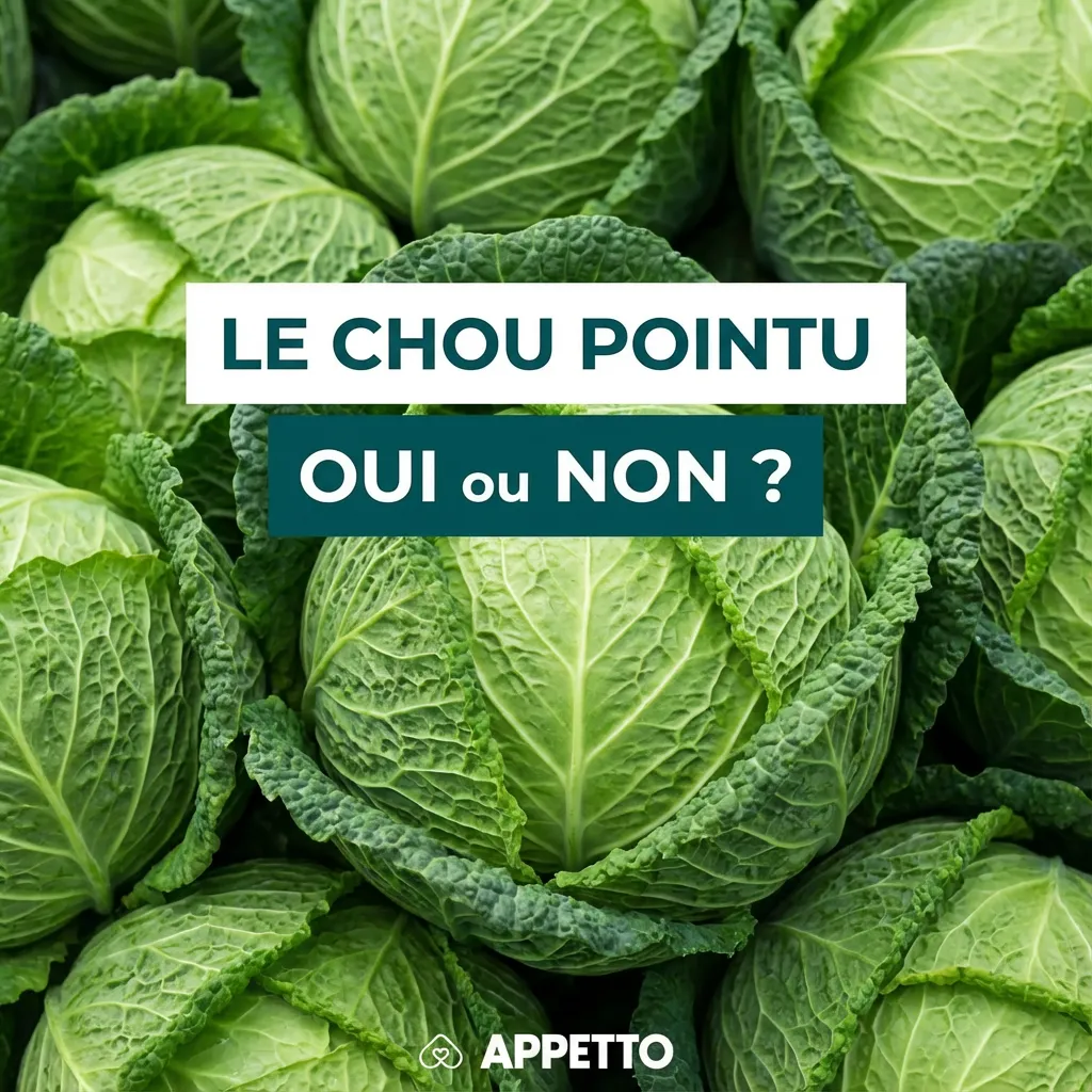 Visuel APPETTO « Le chou pointu oui ou non ? » pour chien, autorisé en petite quantité si bien cuit et nature, couper fin pour limiter l’étouffement, attention aux ballonnements et gaz, diarrhée possible si trop, à donner occasionnellement seulement.