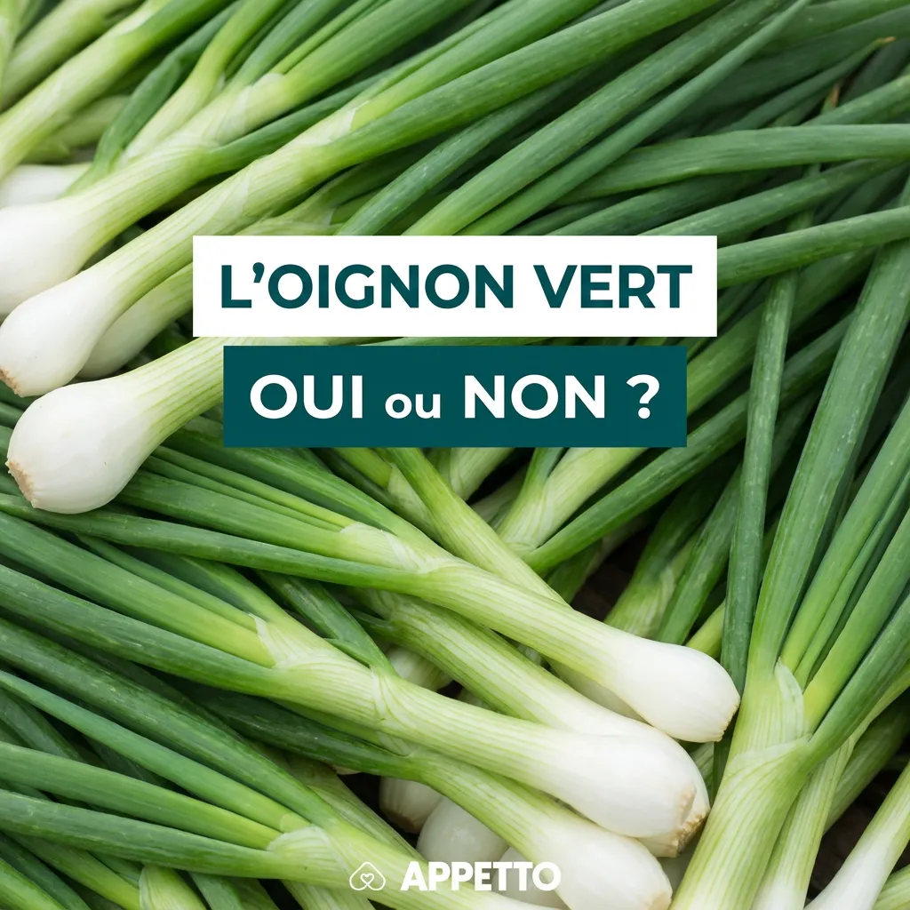 Visuel APPETTO « L’OIGNON VERT oui ou non ? » pour chien, à éviter et interdit, cru ou cuit il est toxique, ne pas proposer même en petite quantité, risque d’anémie et de troubles digestifs comme vomissements et diarrhée, contacter un vétérinaire en cas d’