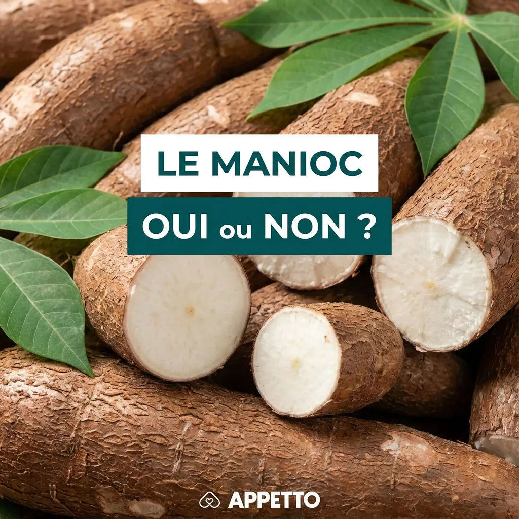 Visuel APPETTO « LE MANIOC oui ou non ? » pour chien, OK seulement bien cuit et nature, jamais cru, en petite quantité et occasionnellement, coupé en petits dés, trop riche en amidon peut causer ballonnements ou diarrhée et le manioc cru présente un risque