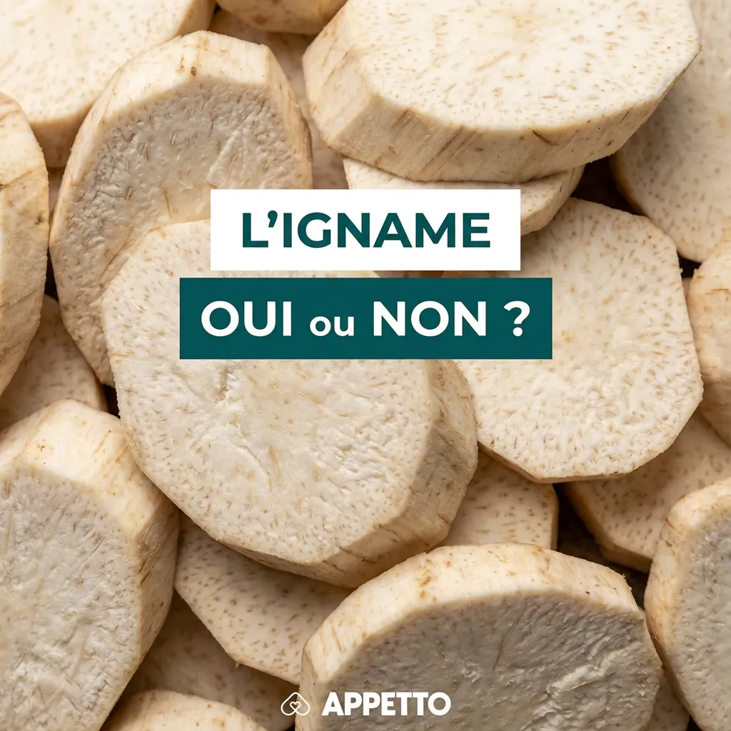 Visuel APPETTO « L’IGNAME oui ou non ? » pour chien, OK seulement bien cuit et nature, en petite quantité et occasionnellement, coupé en petits dés, éviter cru, trop de féculent peut causer ballonnements, diarrhée ou prise de poids.