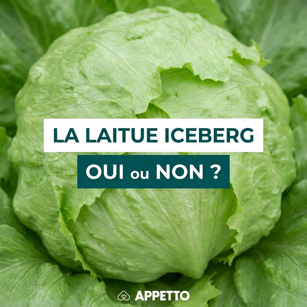 Visuel APPETTO « LA LAITUE ICEBERG oui ou non ? » pour chien, OK mais peu intéressante, à donner en petite quantité, bien lavée, nature, crue et coupée fin, l’excès peut entraîner diarrhée et ballonnements.