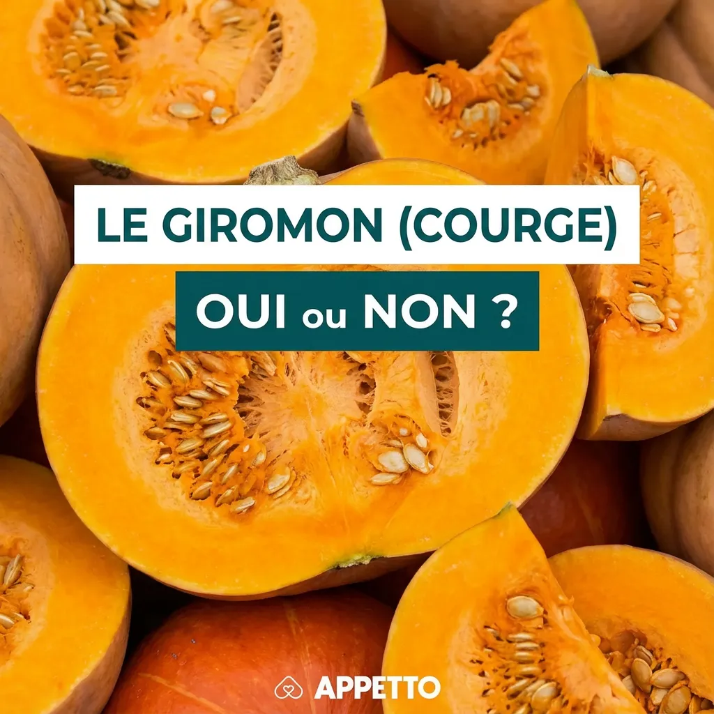 Visuel APPETTO « LE GIROMON (COURGE) oui ou non ? » pour chien, OK en petite quantité, de préférence cuit à l’eau ou vapeur et nature, sans sel, coupé en petits morceaux, trop riche en fibres et en eau peut causer selles molles ou diarrhée.