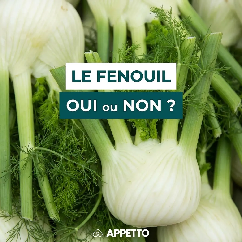 Visuel APPETTO « Le fenouil oui ou non ? » pour chien, fenouil possible en petite quantité, cru ou cuit nature, couper très fin, peut provoquer gaz ou selles molles chez certains, éviter assaisonnements, à proposer rarement et arrêter si gêne digestive.