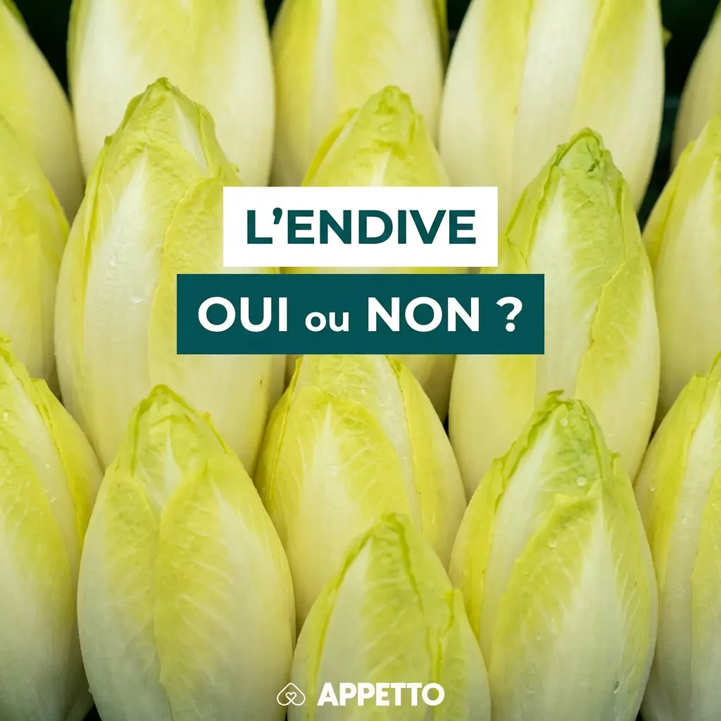 Visuel APPETTO « L’endive oui ou non ? » pour chien, endive généralement OK crue en petite quantité, bien lavée, goût amer et fibres pouvant donner gaz ou selles molles, éviter sauce et vinaigrette, à donner occasionnellement, prudence si le chien a le ven
