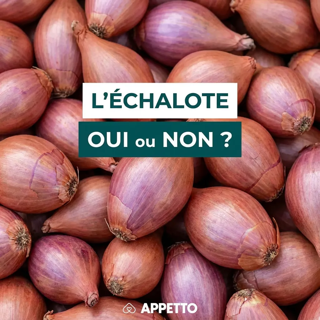 Visuel APPETTO « L’échalote oui ou non ? » pour chien, réponse non, aliment de la famille ail oignon toxique, risque d’anémie hémolytique, symptômes possibles vomissements, diarrhée, fatigue, gencives pâles, urgence vétérinaire si ingestion, ne jamais donn