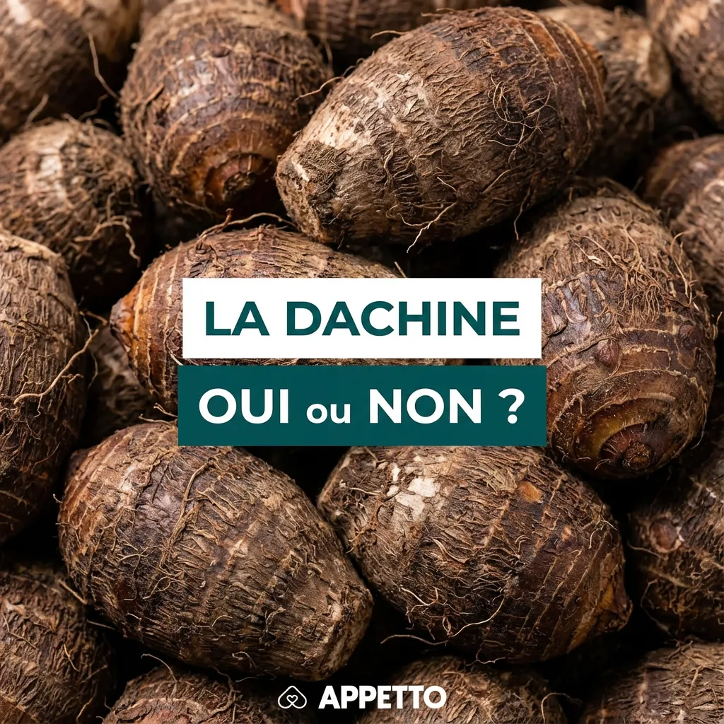 Visuel APPETTO « La dachine oui ou non ? » pour chien, taro interdit cru car irritant, possible uniquement très bien cuit et nature, peau retirée, portion minuscule, prudence chez chiens sensibles ou sujets aux calculs, surveiller vomissements, salivation,