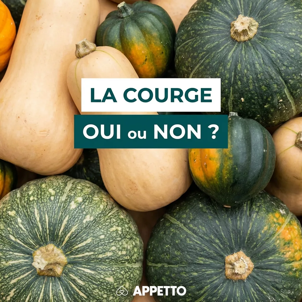 Visuel APPETTO « La courge oui ou non ? » pour chien, courge autorisée si bien cuite et nature, retirer peau et graines, portion petite pour éviter diarrhée, attention à l’apport énergétique chez chiens en surpoids, à donner occasionnellement comme friandi