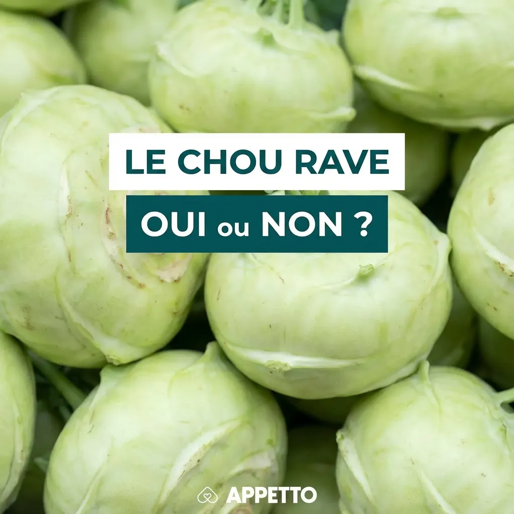 Visuel APPETTO « Le chou rave oui ou non ? » pour chien, possible mais très dur cru, préférable cuit et coupé en petits dés, excès possible de gaz et selles molles, risque d’étouffement si gros morceaux, à donner rarement et surveiller la tolérance.